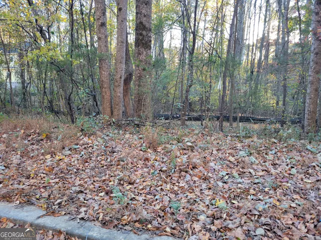 a view of a forest with trees