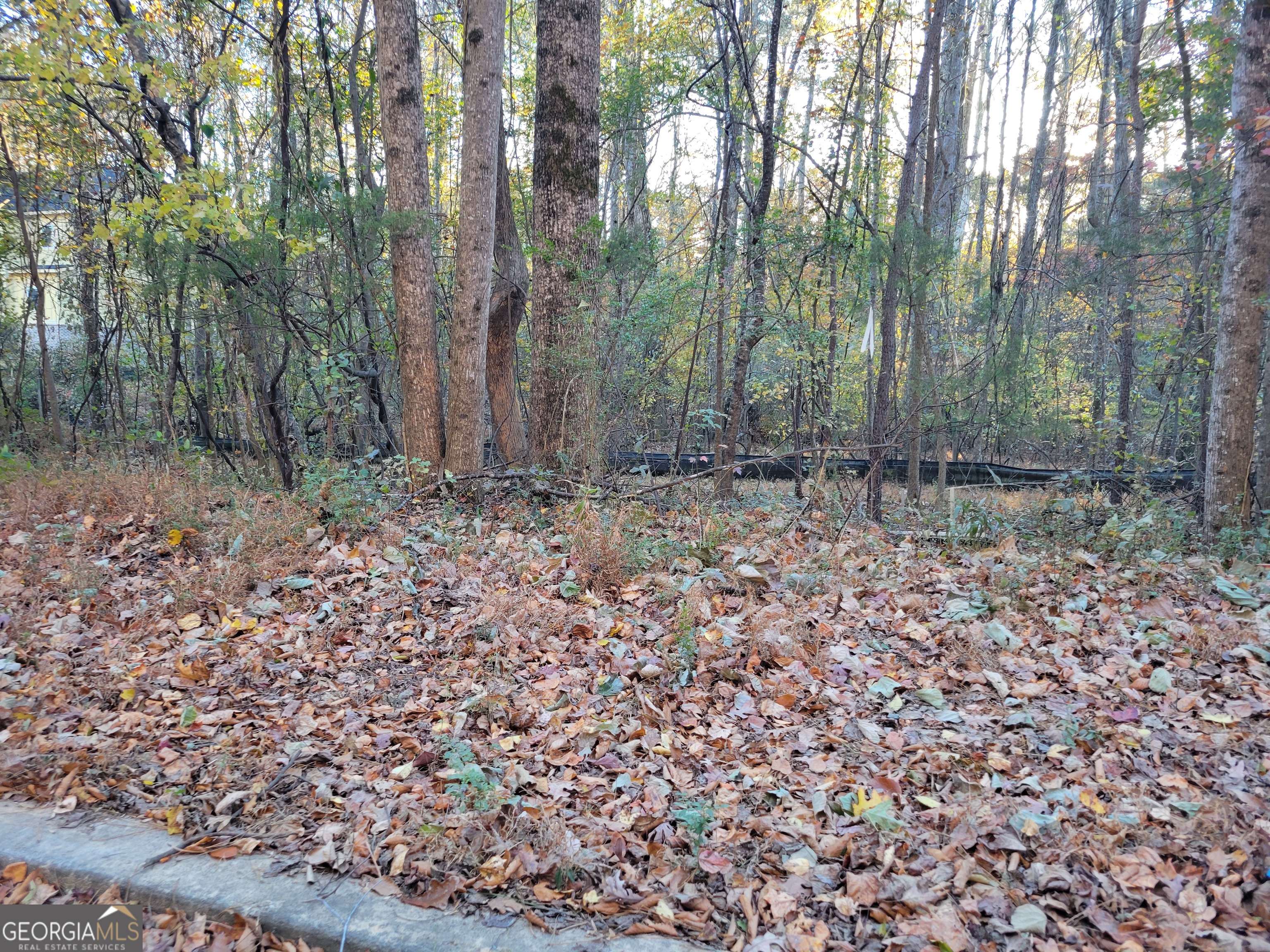 5008-4998 Hidden Branch Drive Sugar Hill, GA 30518 - Photo 2 of 3 a view of a forest with trees
