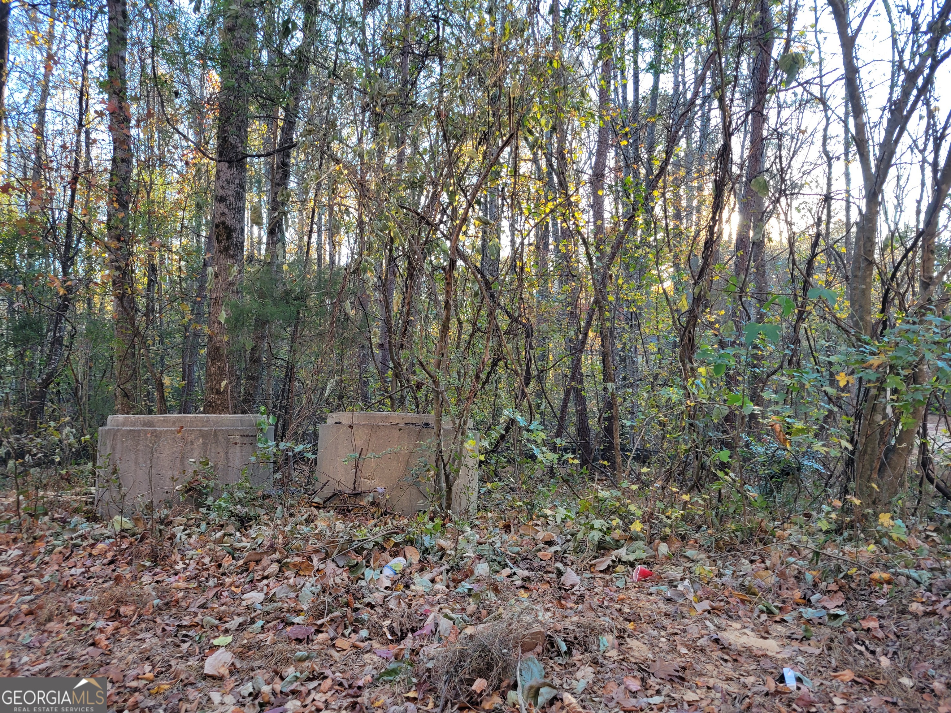 5008-4998 Hidden Branch Drive Sugar Hill, GA 30518 - Photo 3 of 3 a backyard of a house with lots of green space