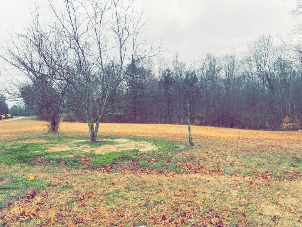 680 Austin Road Reagan, TN 38368 - Photo 5 of 12 a view of a yard with trees