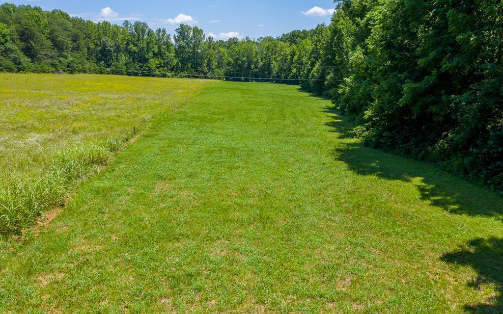 Crumptown Road Farmville, VA 23901 - Photo 11 of 32 Gallery Image 11