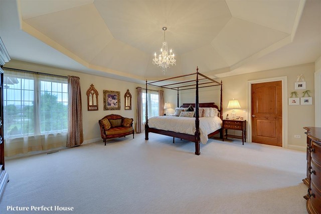 4532 Corktree Road Naperville, IL 60564 - Photo 13 of 24
