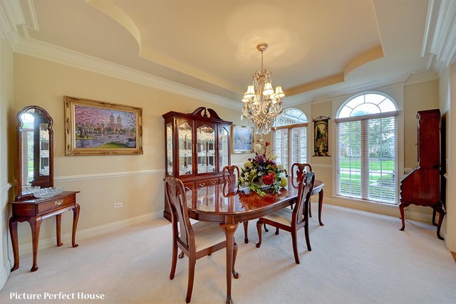 4532 Corktree Road Naperville, IL 60564 - Photo 4 of 24