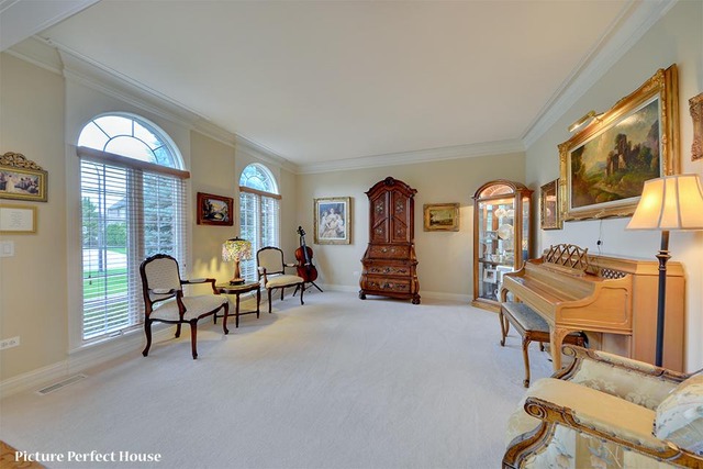 4532 Corktree Road Naperville, IL 60564 - Photo 5 of 24