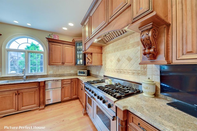 4532 Corktree Road Naperville, IL 60564 - Photo 9 of 24