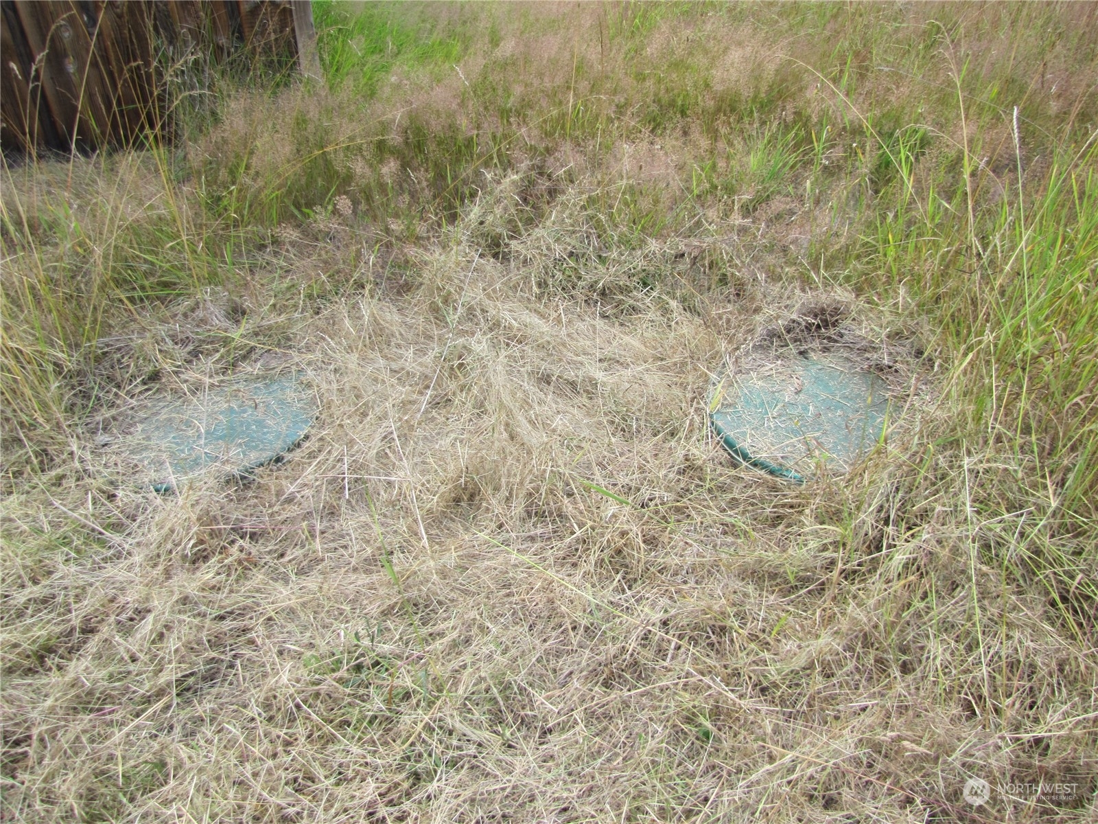 726 Lake Farm Road Port Angeles, WA 98362 - Photo 23 of 24 a close up of a wall with a dry yard