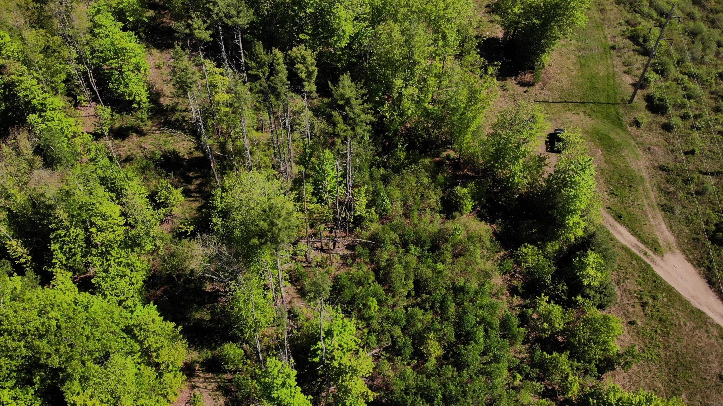 250 Drews Mills Road Biddeford, ME 04005 - Photo 11 of 28 DJI_0135 - frame at 3m40s