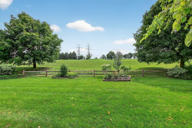 a view of a park with large trees