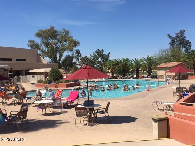 10929 East Spring Creek Road Chandler, AZ 85248 - Photo 36 of 90 pool volleyball