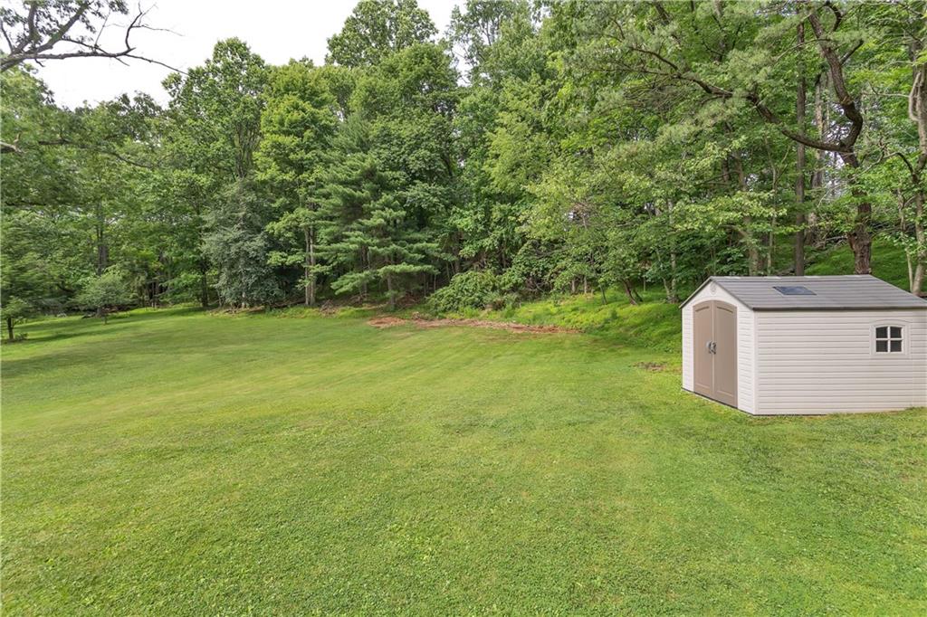 267 Thorne Run Road Export, PA 15632 - Photo 32 of 32 Backyard with Shed