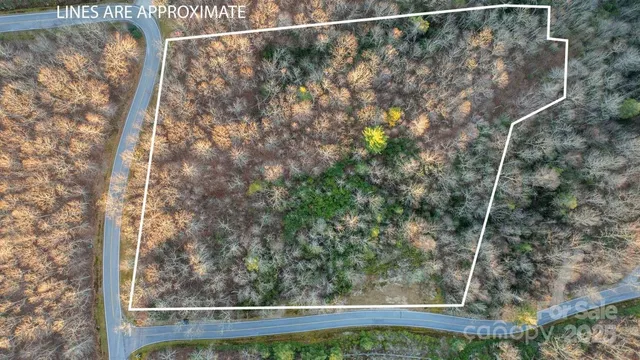 a view of a small yard