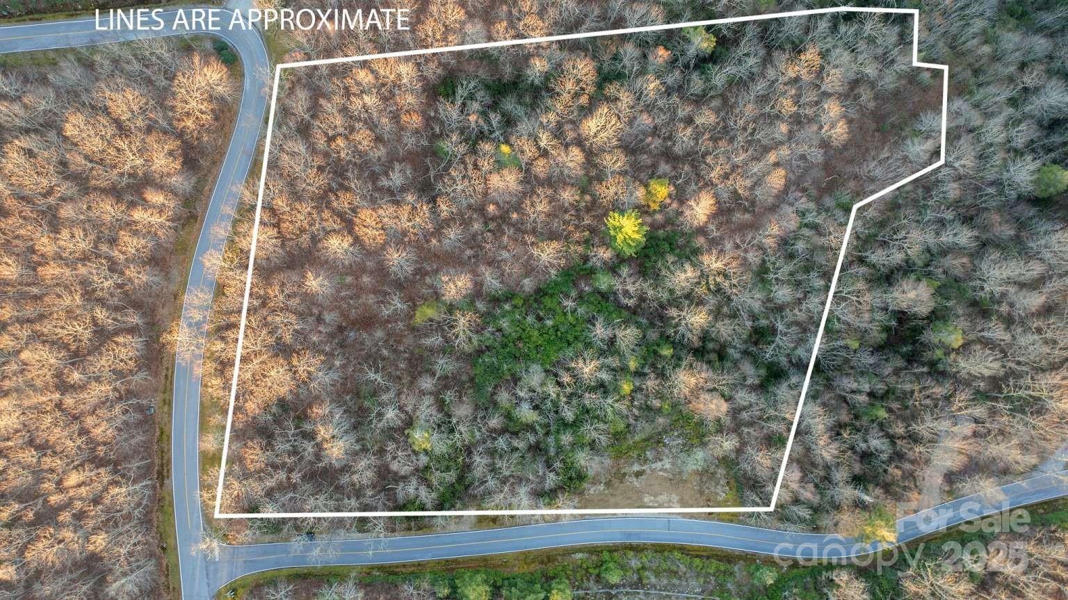 a view of a small yard