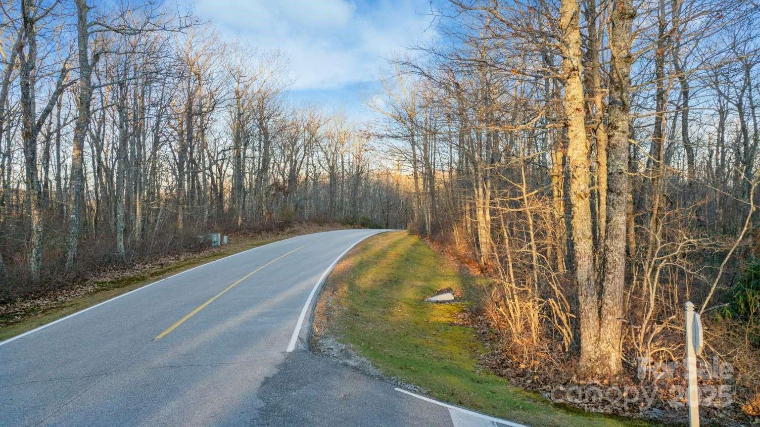 0 Panthertown Rd Lake Lake Toxaway, NC 28747 - Photo 3 of 6 a view of a backyard