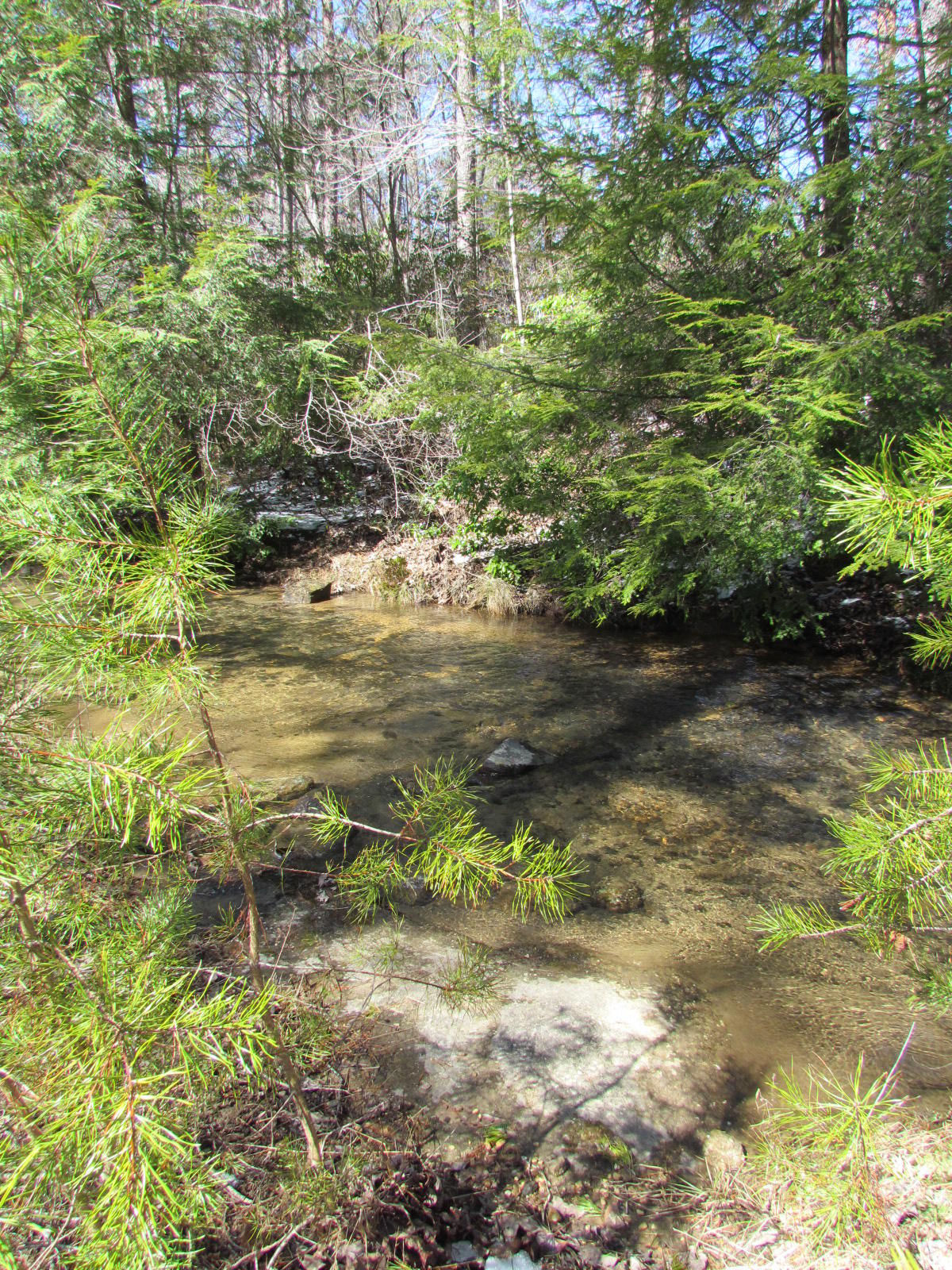 1408 Pryor Ridge Road Tracy City, TN 37387 - Photo 16 of 32 Creek.JPG