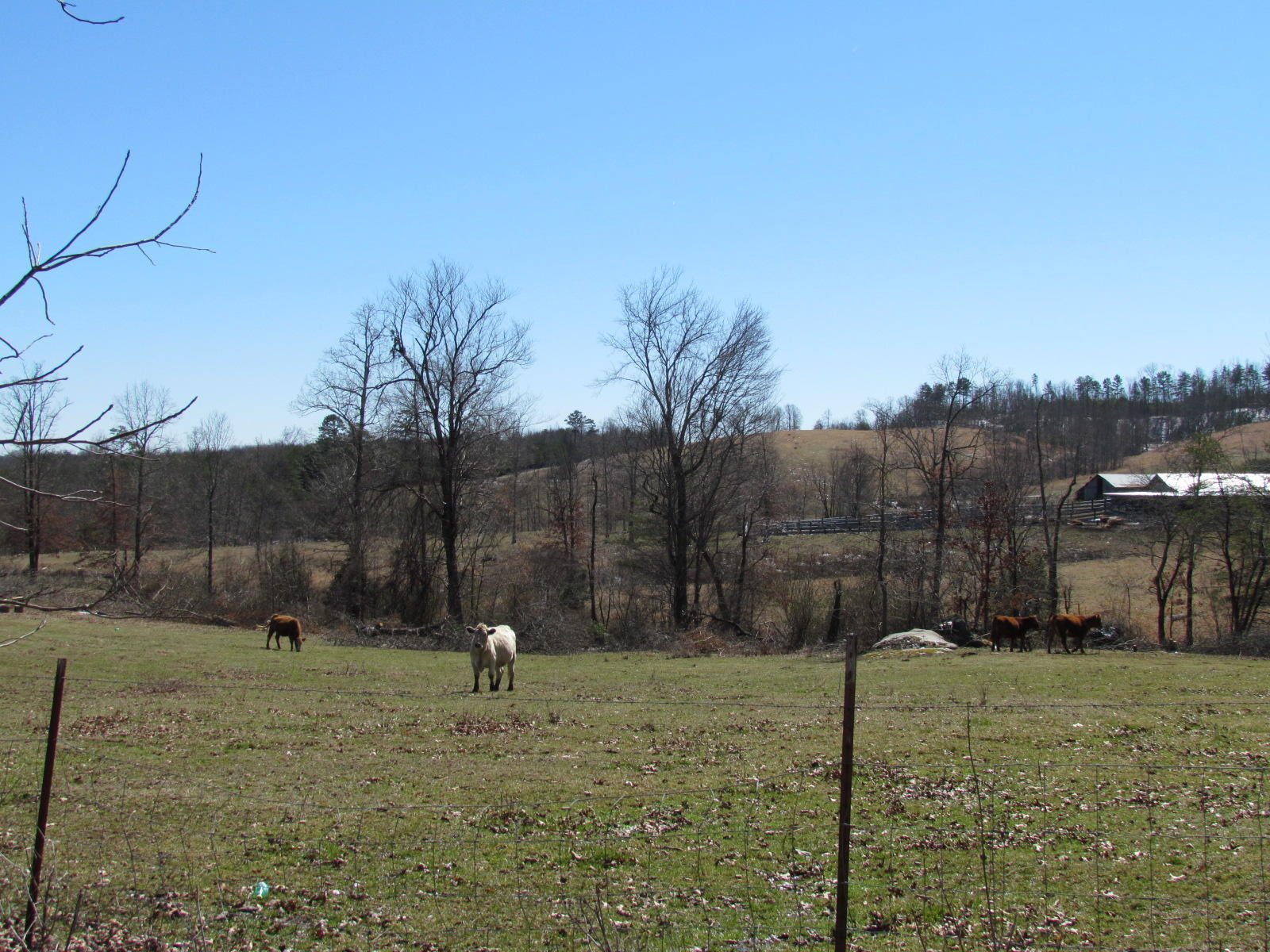 1408 Pryor Ridge Road Tracy City, TN 37387 - Photo 19 of 32 View #1.JPG