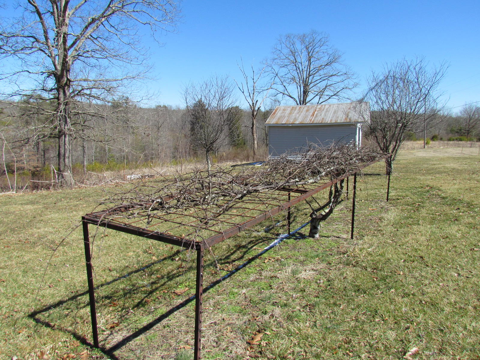 1408 Pryor Ridge Road Tracy City, TN 37387 - Photo 22 of 32 View #4.JPG