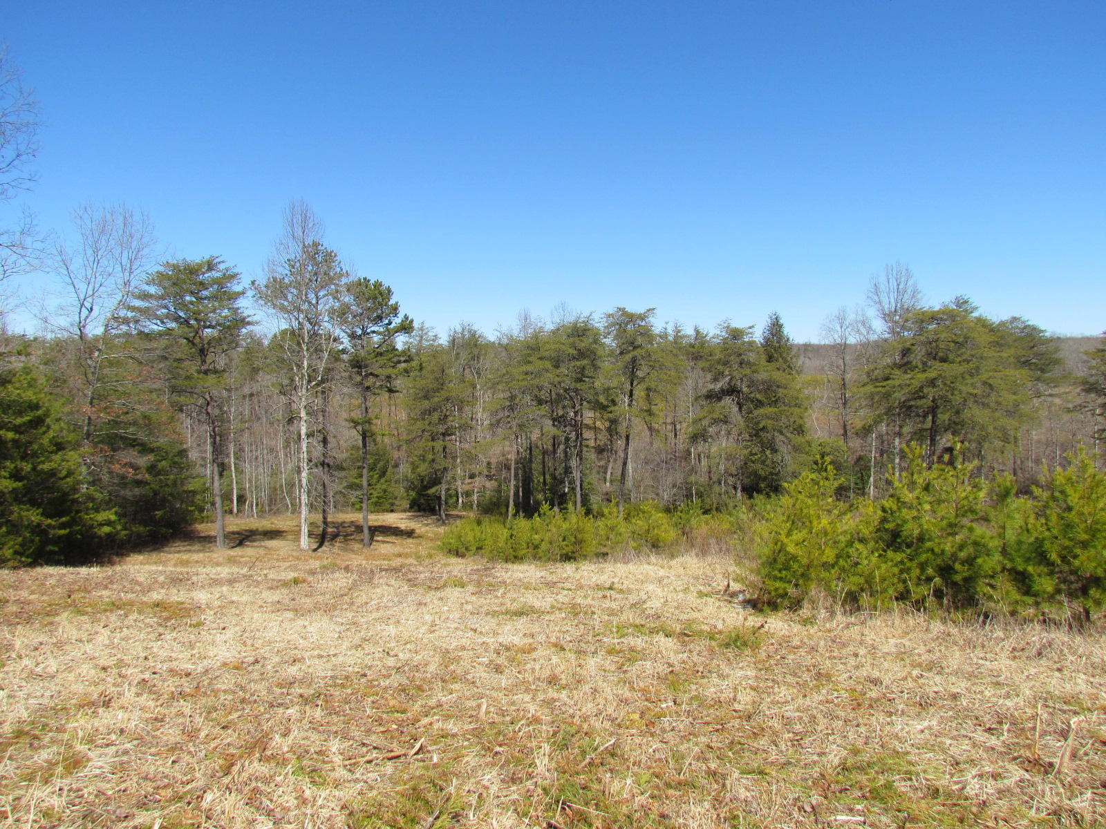1408 Pryor Ridge Road Tracy City, TN 37387 - Photo 24 of 32 View #6.JPG