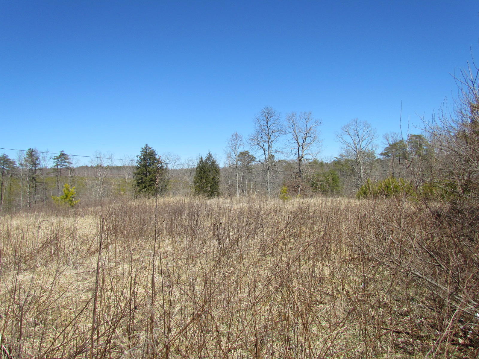 1408 Pryor Ridge Road Tracy City, TN 37387 - Photo 25 of 32 View #7.JPG