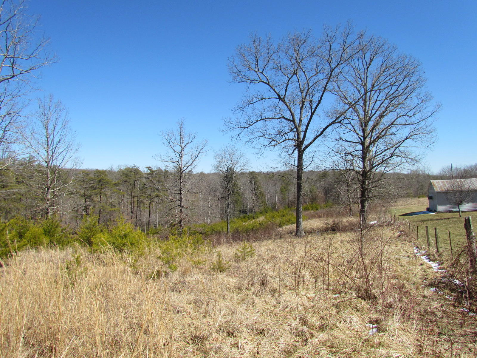 1408 Pryor Ridge Road Tracy City, TN 37387 - Photo 26 of 32 View #8.JPG