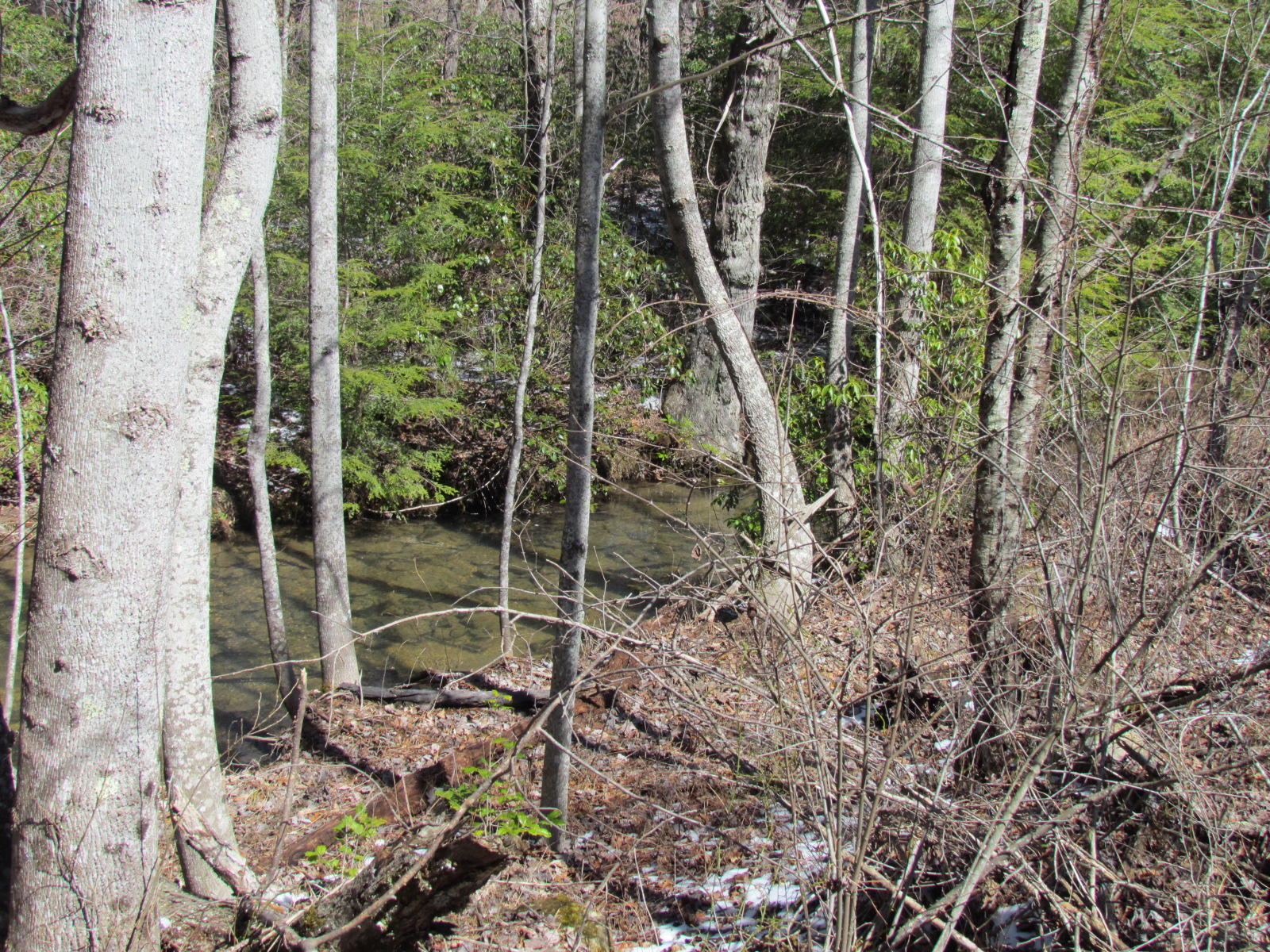 1408 Pryor Ridge Road Tracy City, TN 37387 - Photo 28 of 32 View #10.JPG