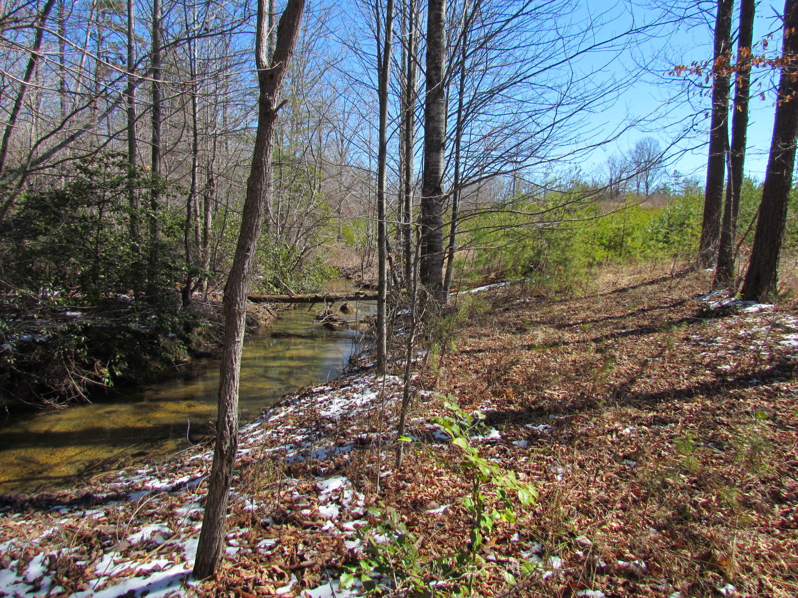 1408 Pryor Ridge Road Tracy City, TN 37387 - Photo 29 of 32 View #11.JPG