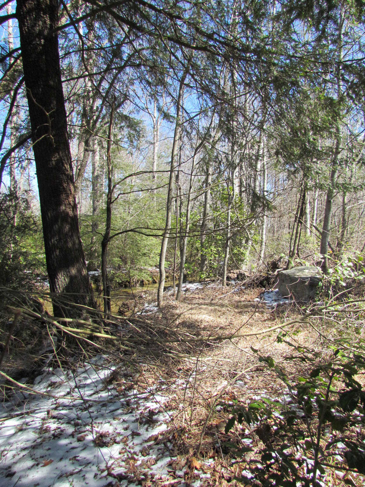 1408 Pryor Ridge Road Tracy City, TN 37387 - Photo 30 of 32 View #12.JPG
