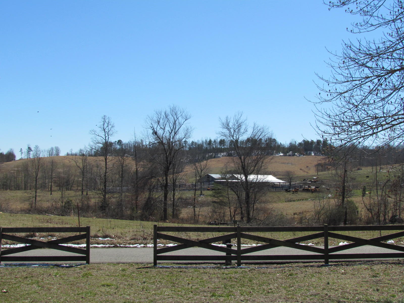 1408 Pryor Ridge Road Tracy City, TN 37387 - Photo 32 of 32 View #14.JPG