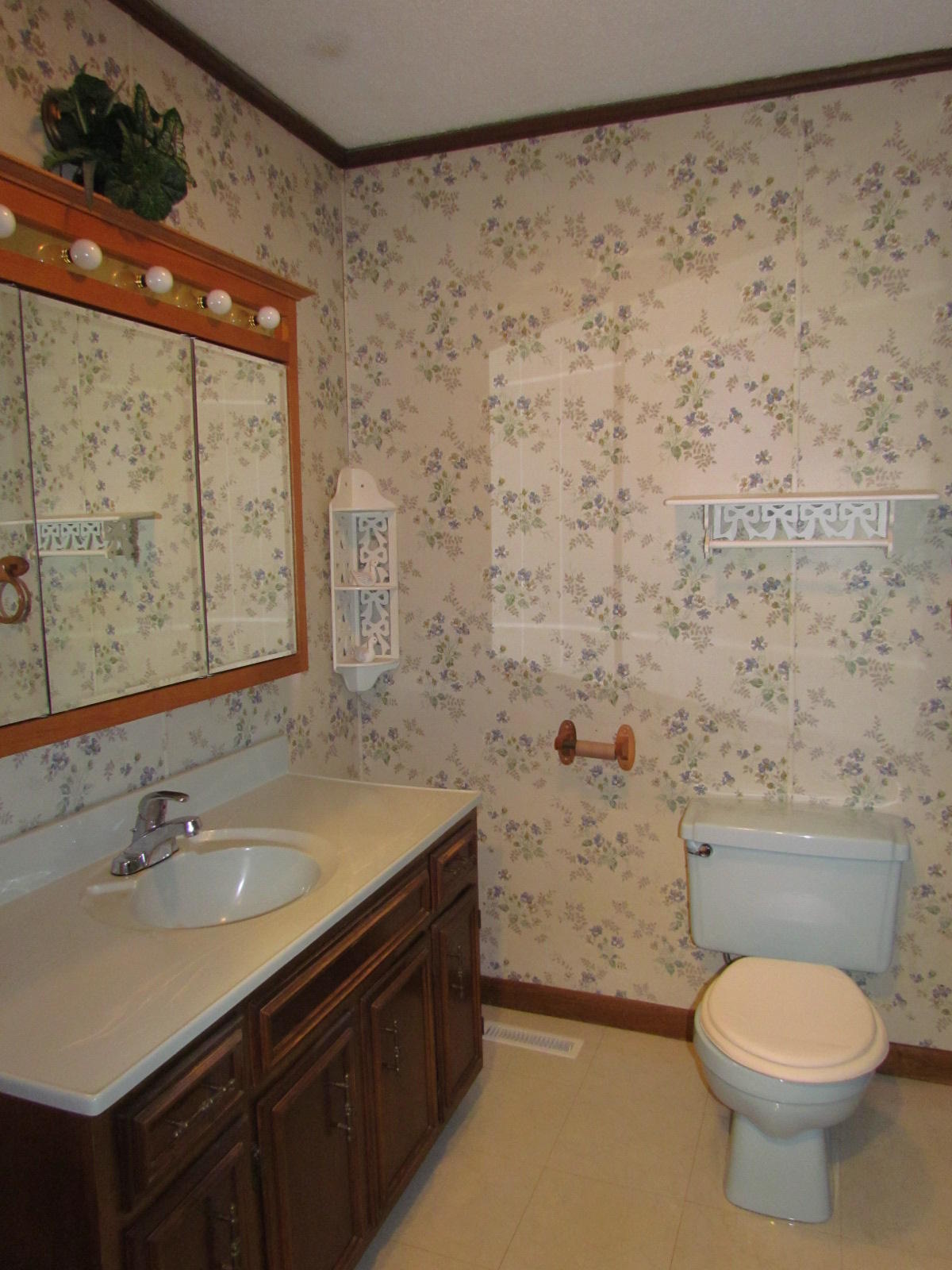 1408 Pryor Ridge Road Tracy City, TN 37387 - Photo 10 of 32 Bath.JPG