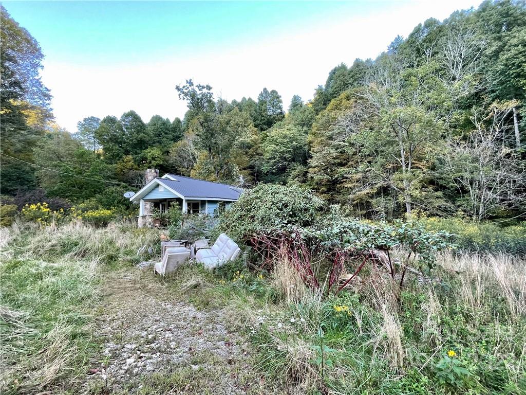 730 Fred Holcombe Road Mars Hill, NC 28754 - Photo 8 of 27 Gallery Image 8