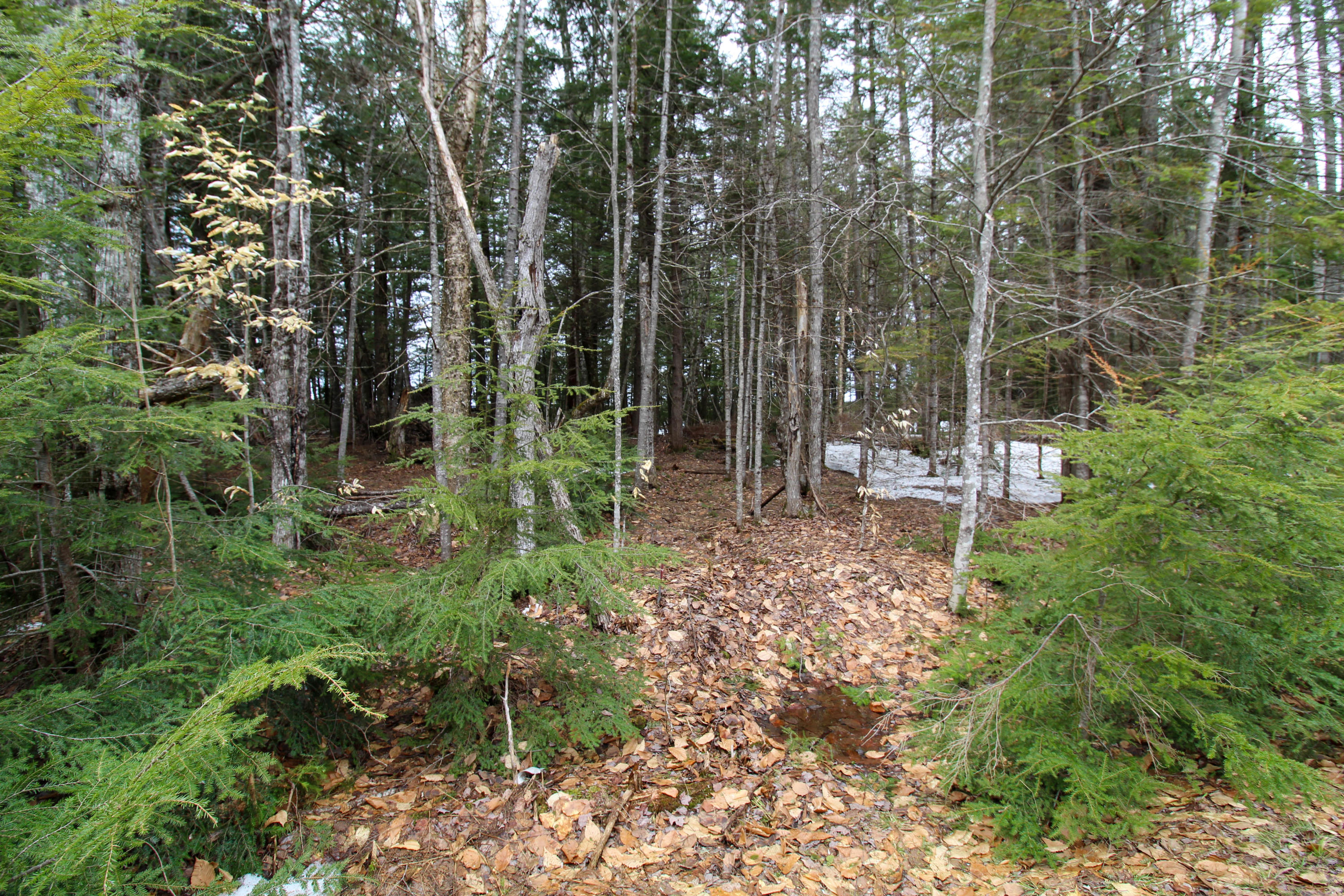 Lot 18 Pullyard Road Sangerville, ME 04479 - Photo 8 of 24 From the Road