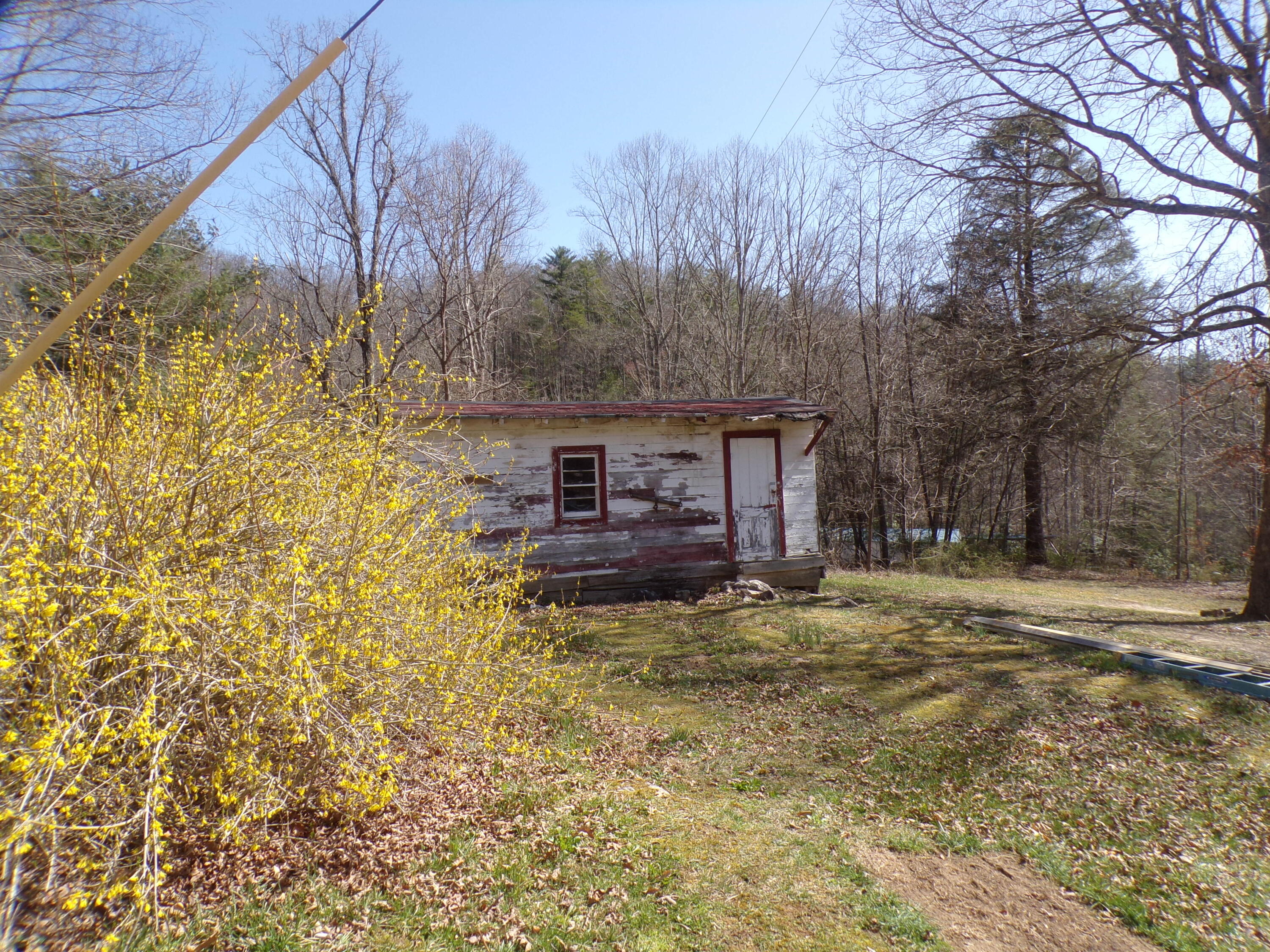 803 Jimmy Hollow Road Butler, TN 37640 - Photo 28 of 31 103_4773
