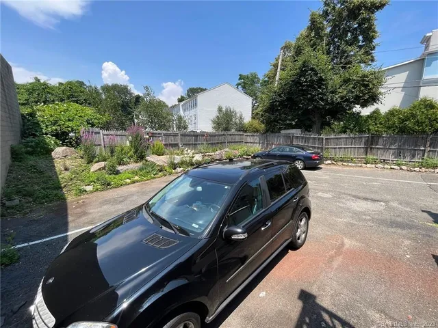 a view of a garden with plants and large trees