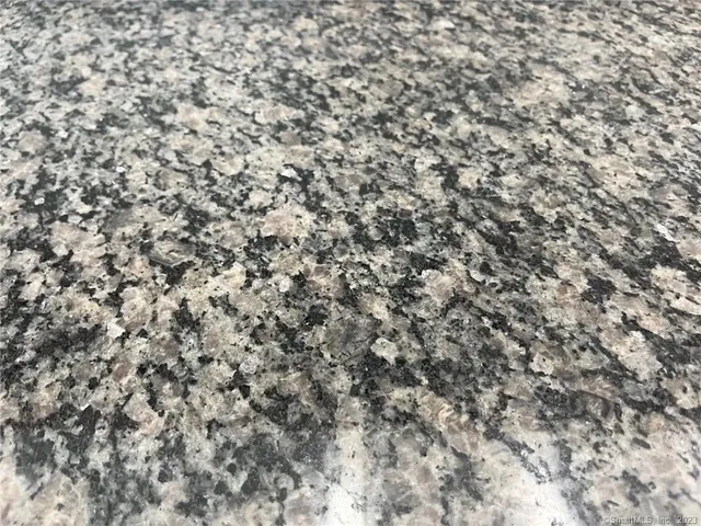 a view of a plant with lots of bushes