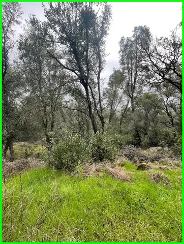 $5,800 | 15572 Sharpe Drive, Clearlake, CA 95422