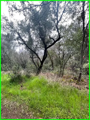 $5,800 | 15572 Sharpe Drive, Clearlake, CA 95422