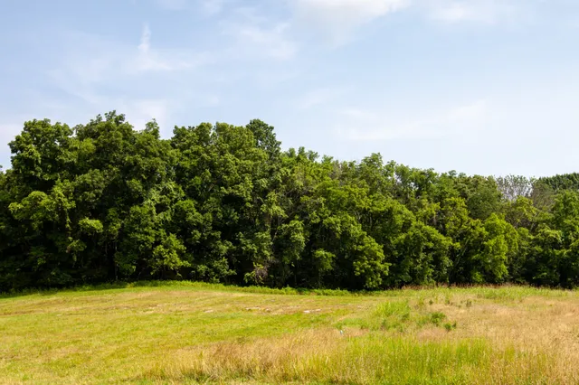 an aerial view of residential house and green space