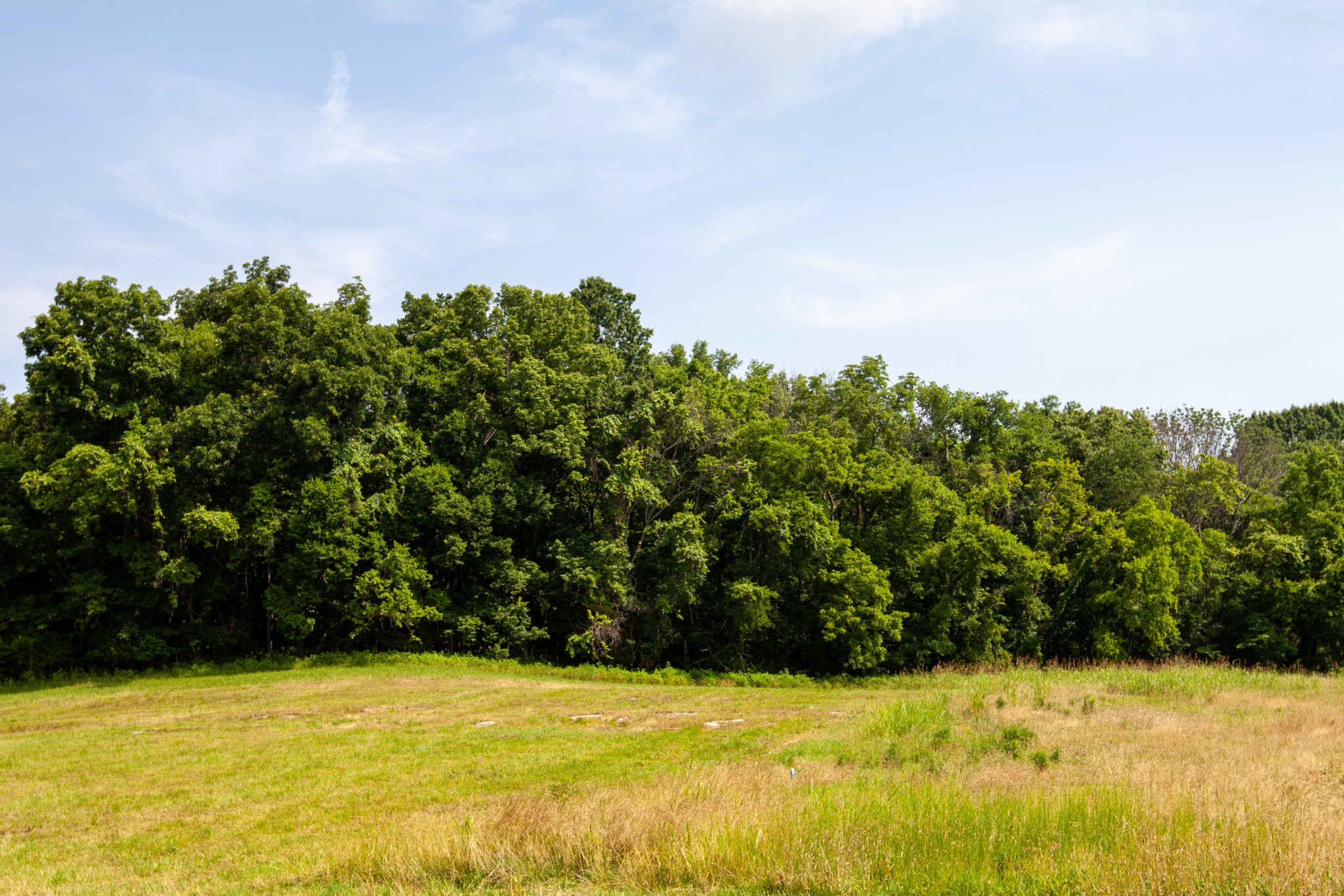 6180 Southeast Tater Peeler Road Lebanon, TN 37090 - Photo 29 of 89 a view of swimming pool with an outdoor space and seating area