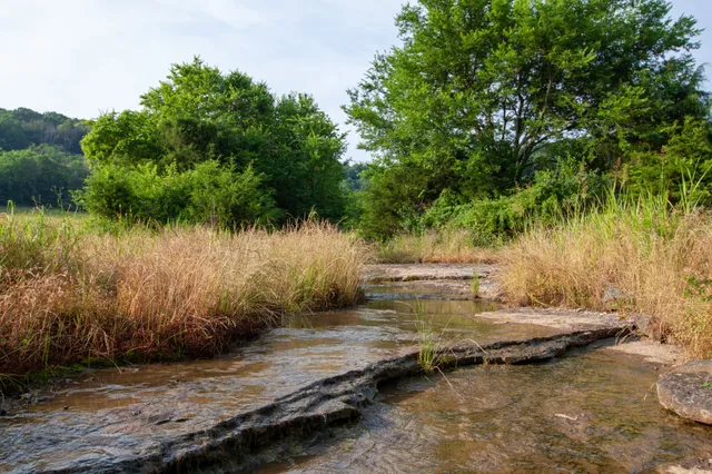a view of a lake with a mountain in the background
