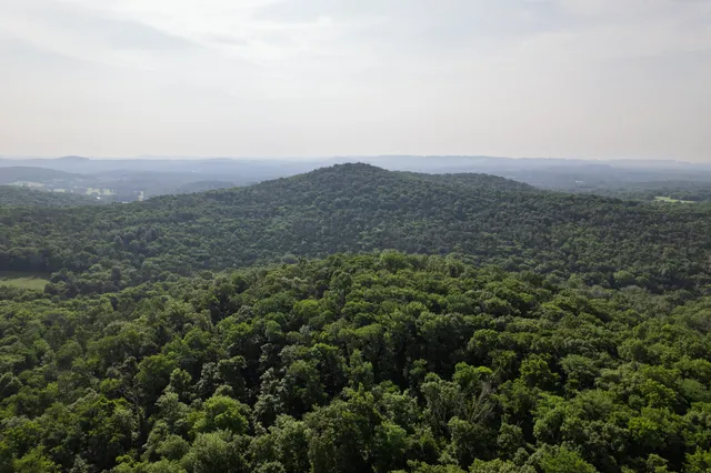 an aerial view of forest
