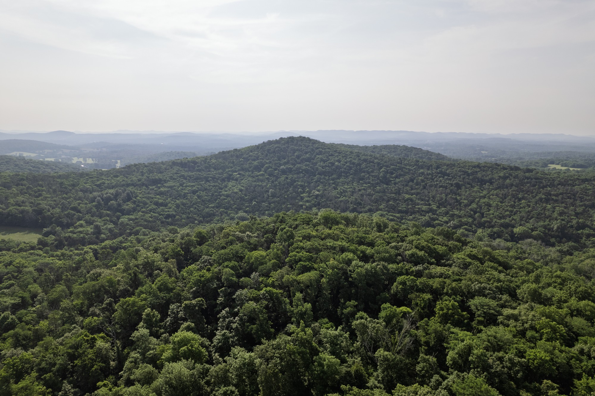 6180 Southeast Tater Peeler Road Lebanon, TN 37090 - Photo 48 of 89 an aerial view of residential house and green space