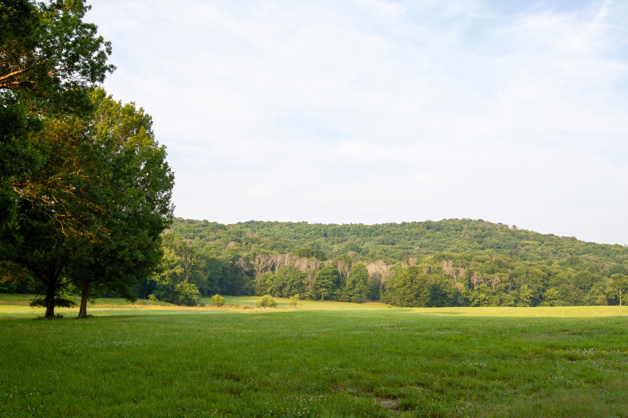 6180 Southeast Tater Peeler Road Lebanon, TN 37090 - Photo 51 of 89 a view of grassy field with mountain
