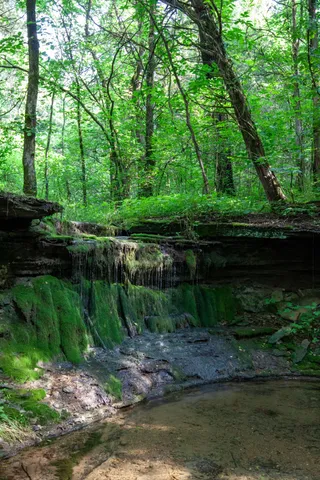 $24,900,000 | 6180 Southeast Tater Peeler Road, Lebanon, TN 37090