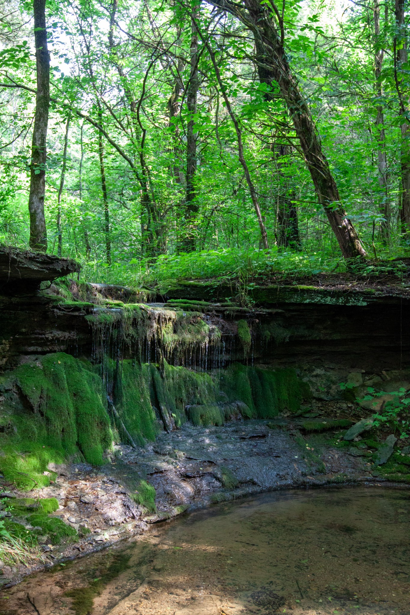 6180 Southeast Tater Peeler Road Lebanon, TN 37090 - Photo 52 of 89