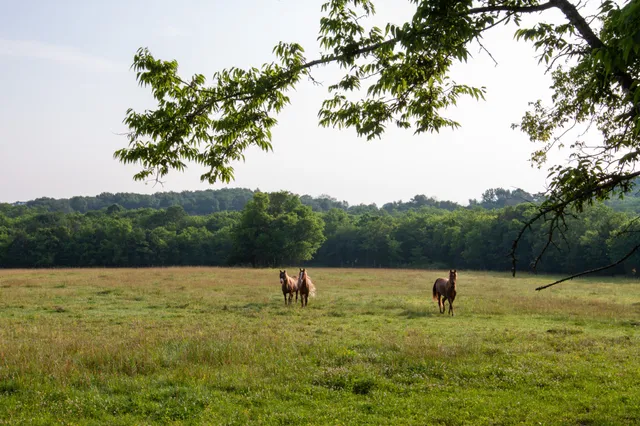 $24,900,000 | 6180 Southeast Tater Peeler Road, Lebanon, TN 37090