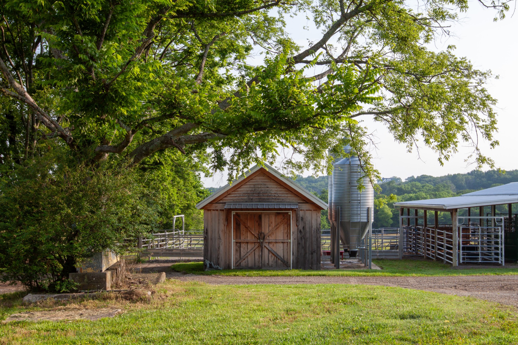6180 Southeast Tater Peeler Road Lebanon, TN 37090 - Photo 57 of 89 a view of a yard in front of a house with large trees