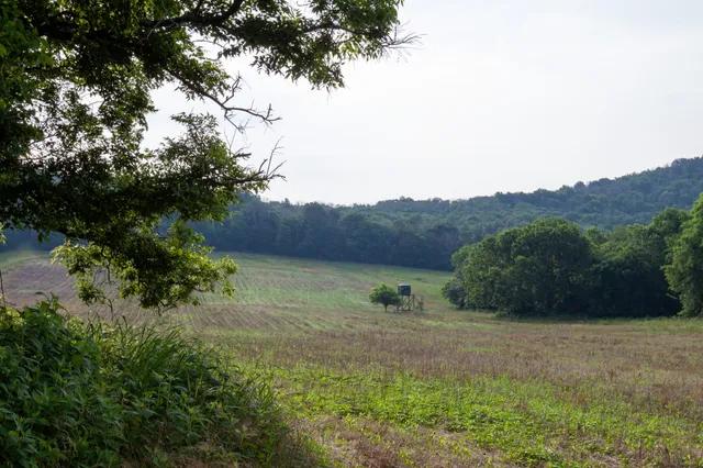 $24,900,000 | 6180 Southeast Tater Peeler Road, Lebanon, TN 37090