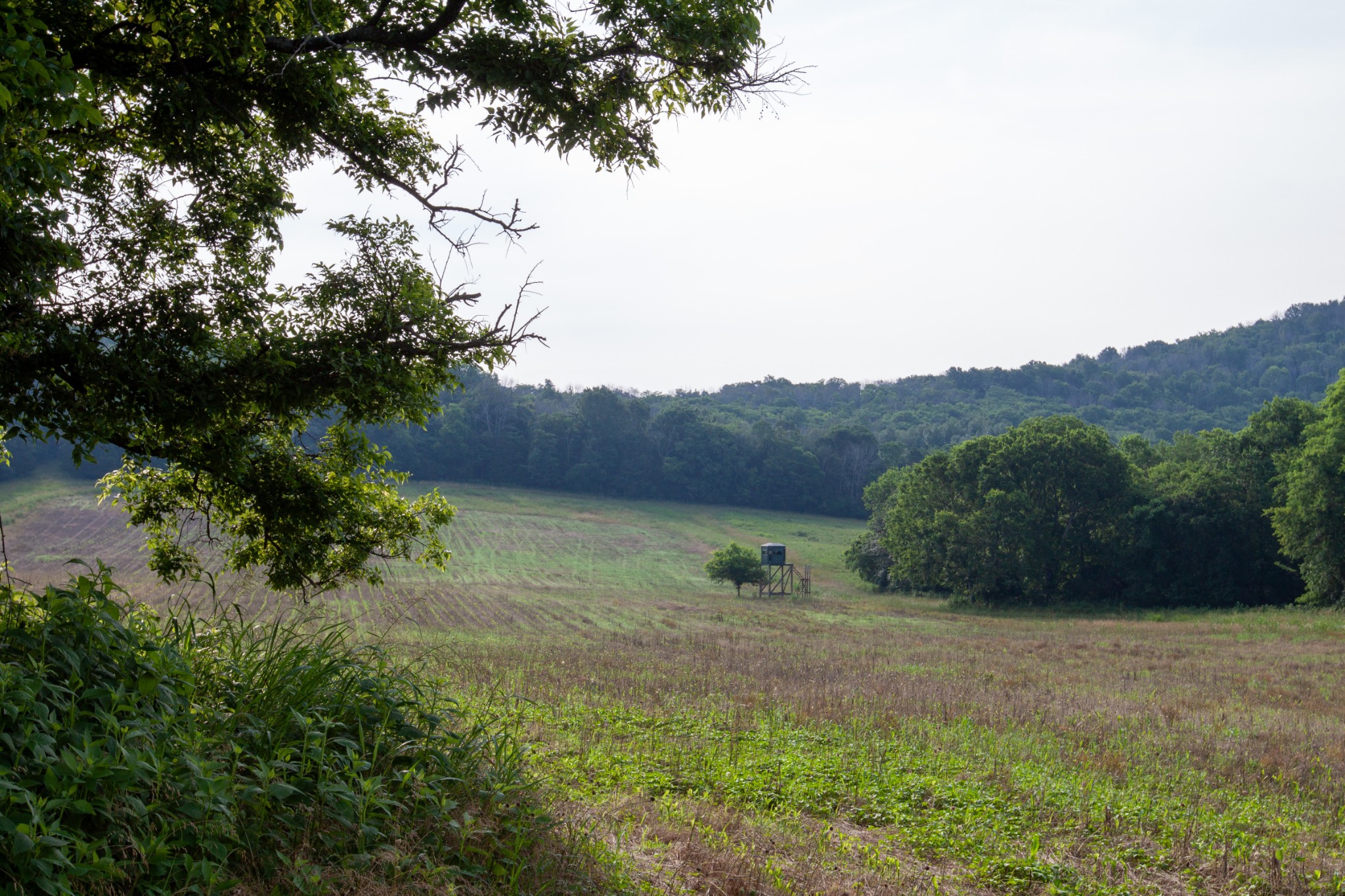 6180 Southeast Tater Peeler Road Lebanon, TN 37090 - Photo 60 of 89