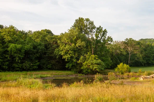 $24,900,000 | 6180 Southeast Tater Peeler Road, Lebanon, TN 37090