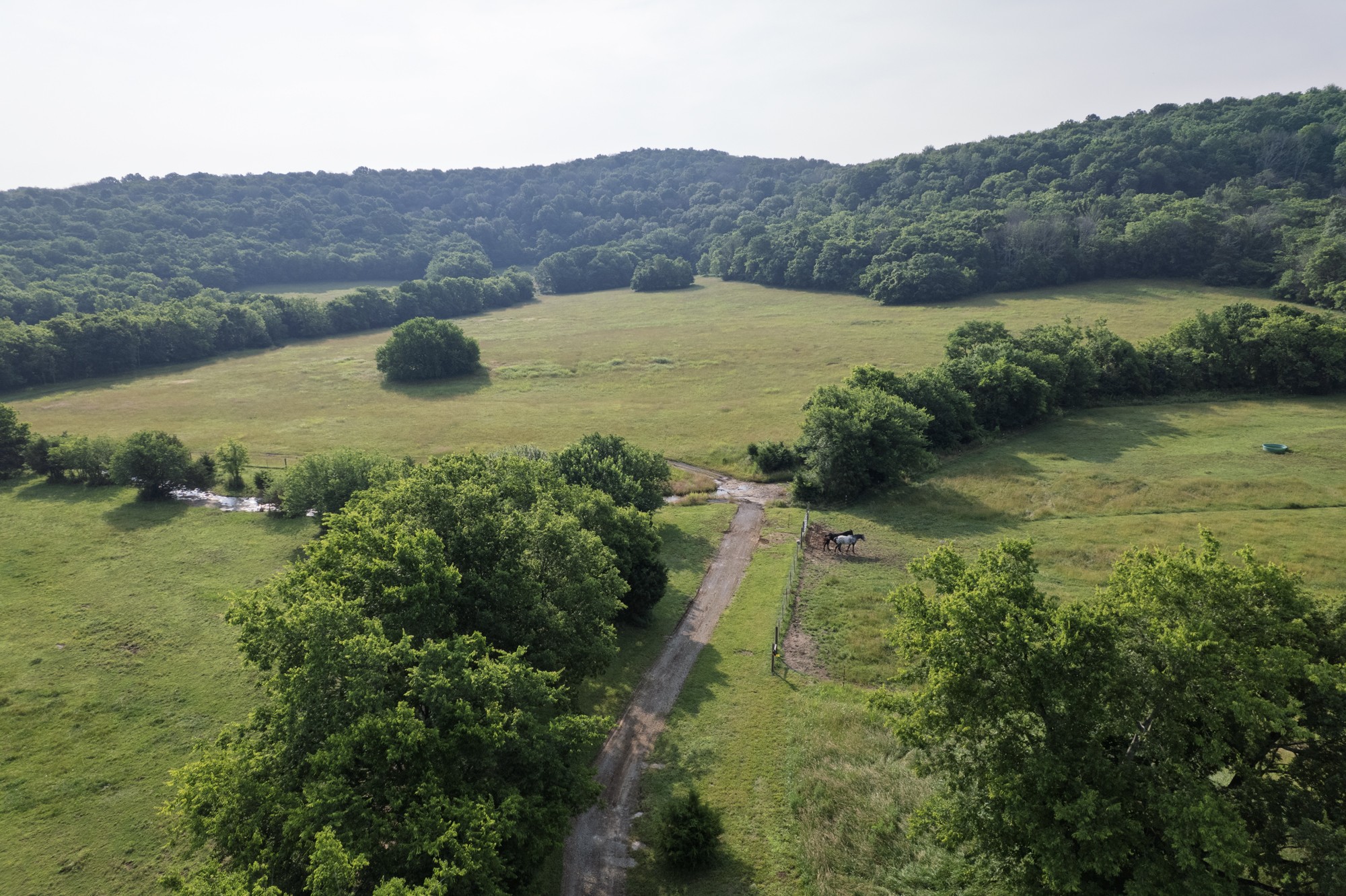 6180 Southeast Tater Peeler Road Lebanon, TN 37090 - Photo 75 of 89 a view of a lake in middle of the green field