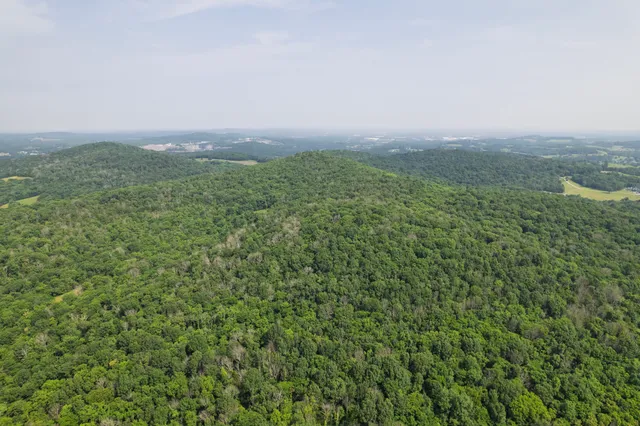 $24,900,000 | 6180 Southeast Tater Peeler Road, Lebanon, TN 37090